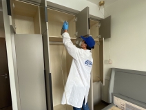 偏方真的能除甲醛嗎？