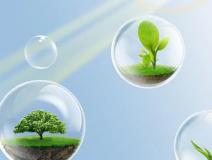 這些甲醛的危害你知道嗎？