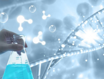 除甲醛需要注意什么？