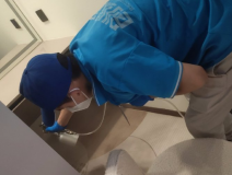 地毯也會引起甲醛超標嗎？