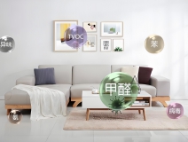 除甲醛公司推薦：專業(yè)公司服務與技術對比分析